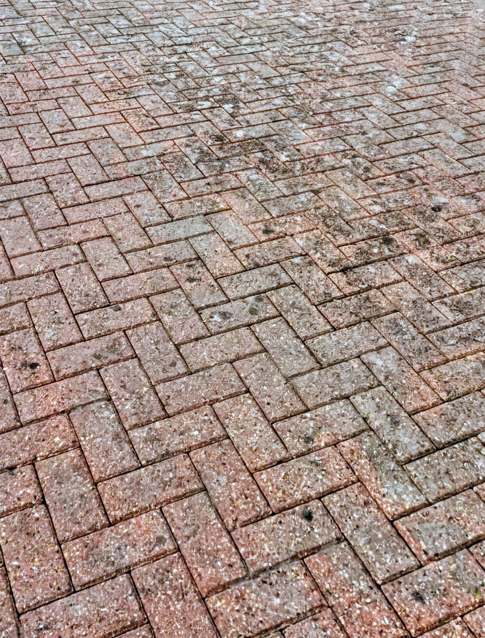 Herringbone block paving before restoration - moss and lichen throughout