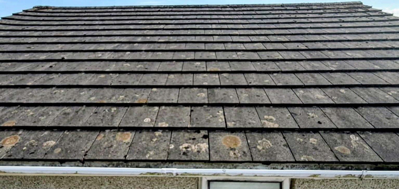 Roof before cleaning - moss covered tiles